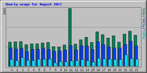 Hourly usage for August 2017